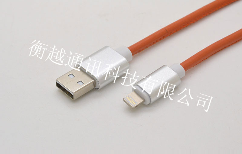 蘋果插頭對USB 2.0 AM